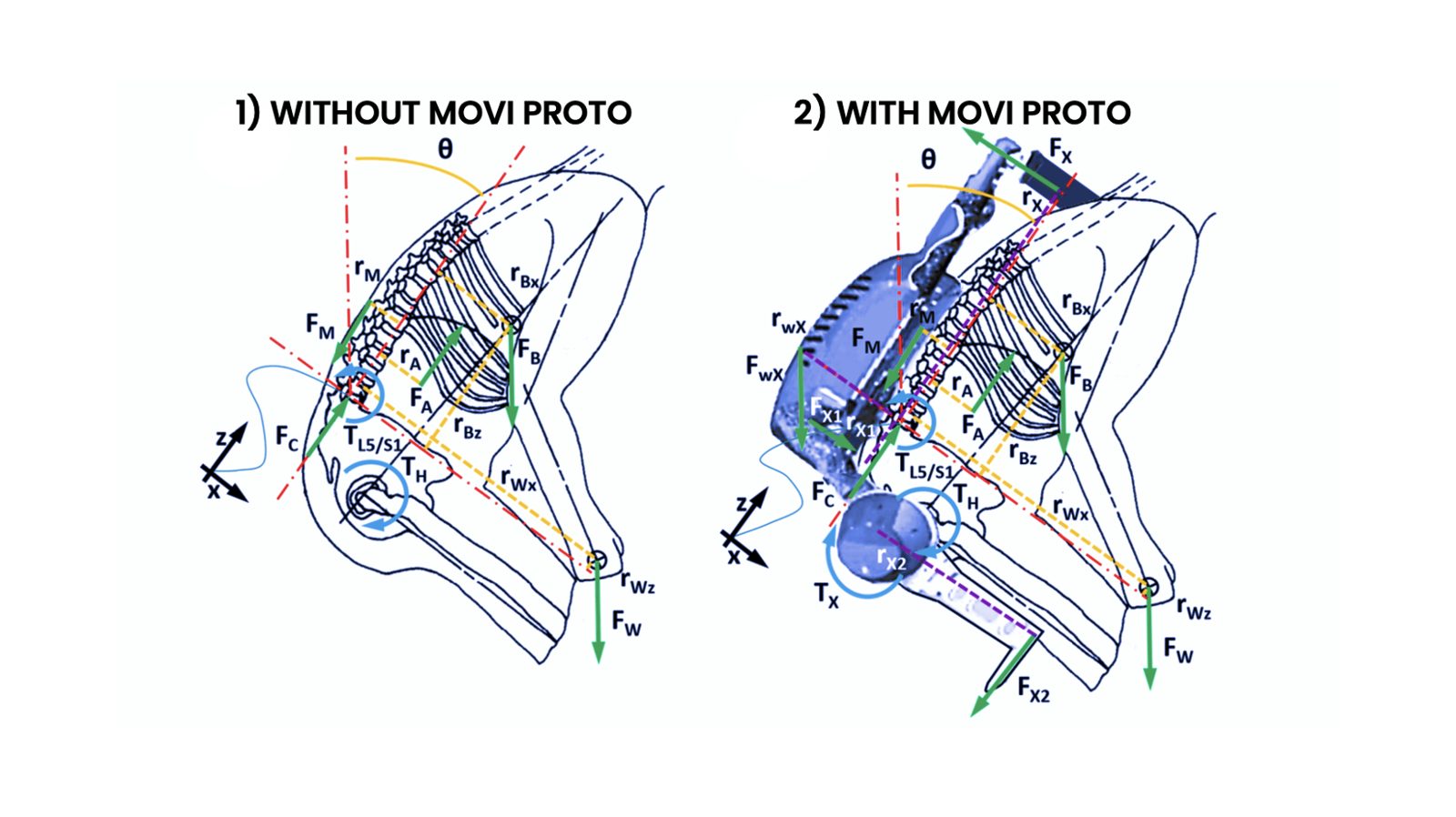 Biomechanical model of a lift without and with MOVI
